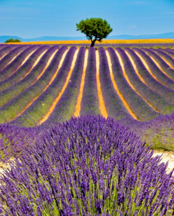 04-VALENSOLE-VERDON-0.jpg